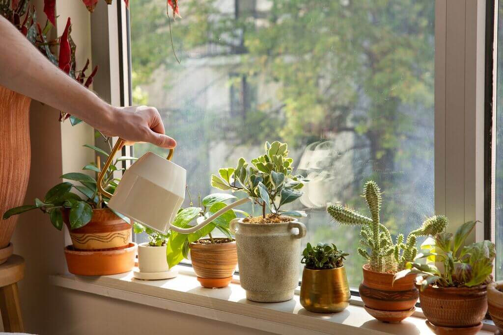 Add Plants to home