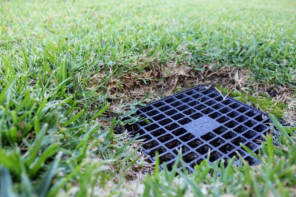 Backyard drainage