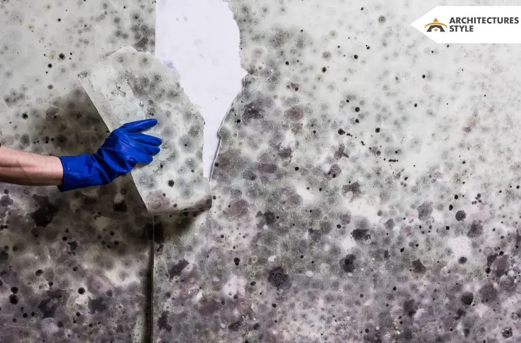 Non-Toxic Ways to Get Rid of Mold in the House