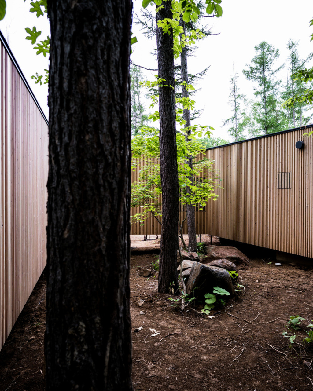 منزل في الغابة من تصميم Florian Busch Architects