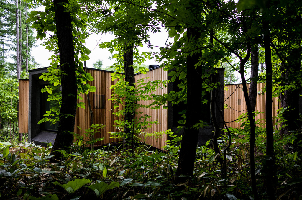 منزل في الغابة من تصميم Florian Busch Architects
