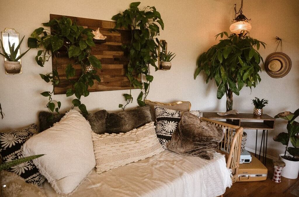 Best Places for Houseplants: Where to Put Them in Your House