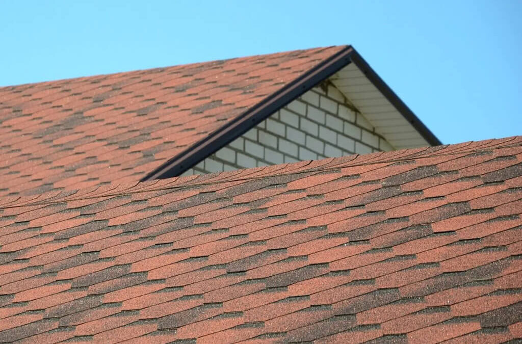 When to Replace Your Roof: 8 Warning Signs to Look For