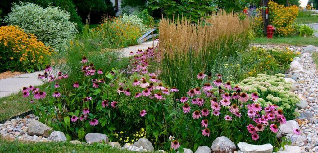 Sustainable Landscaping