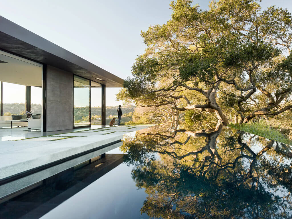 Extroverted Towards Views