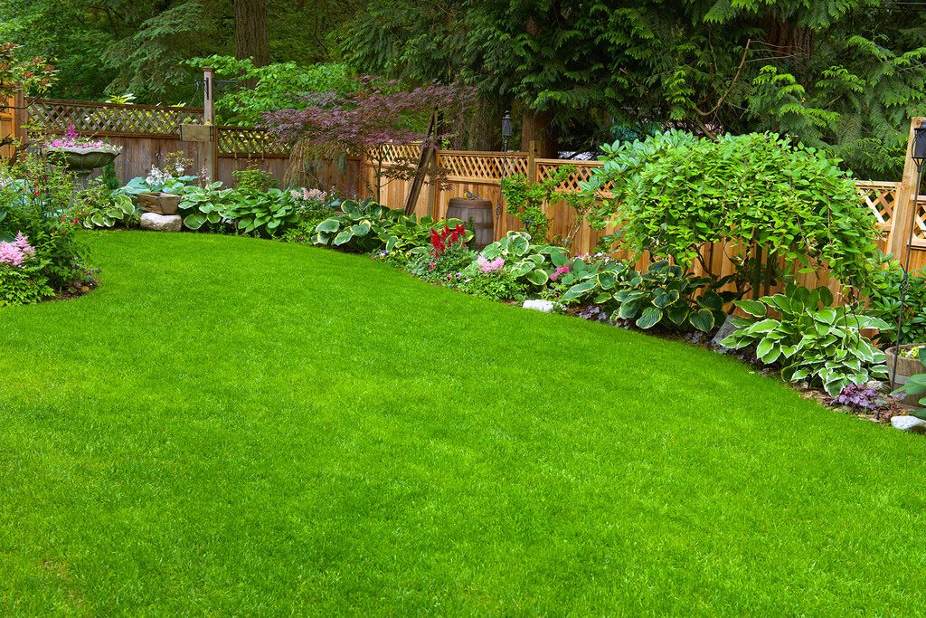 Replanting the Lawn