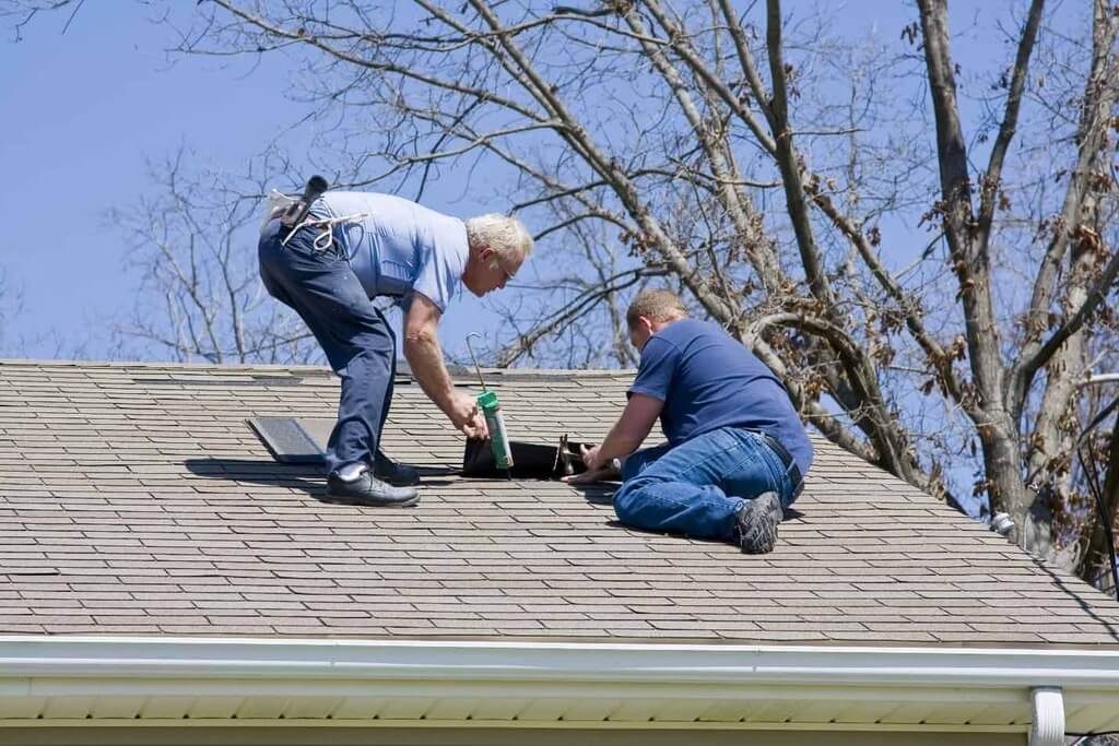 Roof checking