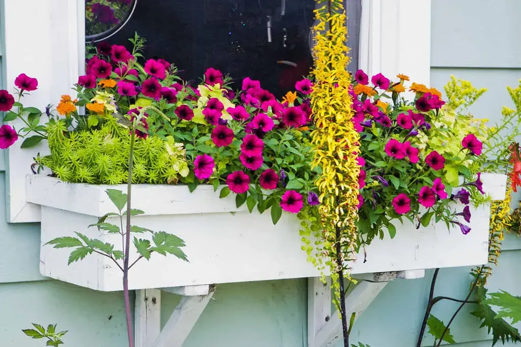 Add Some Window Boxes to Enhance House Exterior