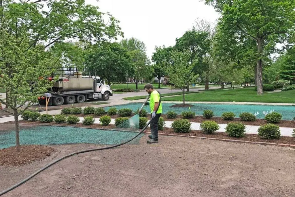 What Is Hydroseeding
