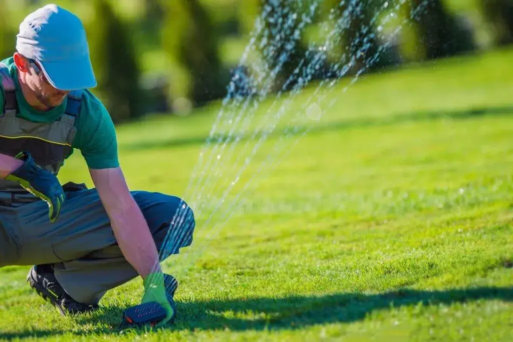 Hydroseeding Costs