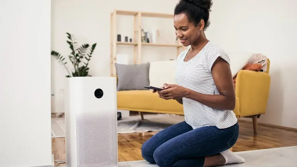 Investing in an Air Purifier Worth It