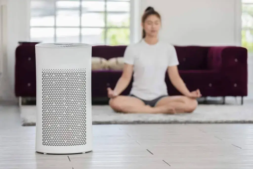 What Exactly Does an Air Purifier Remove from Your Indoor Spaces?