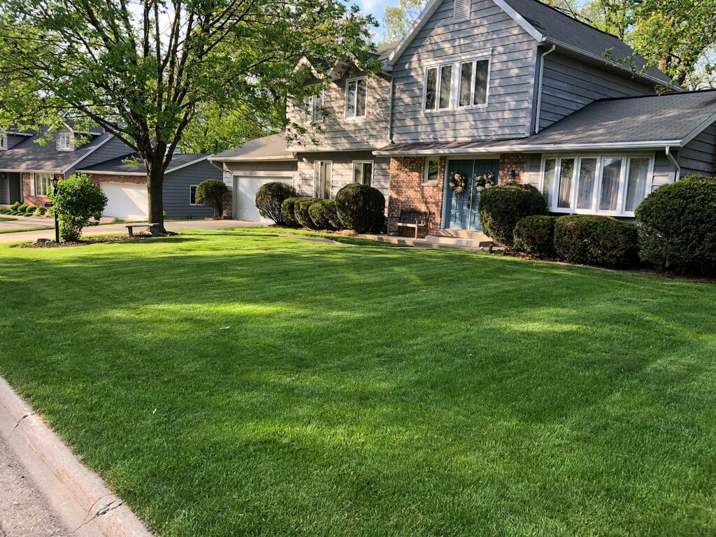 Maintain Your Landscape