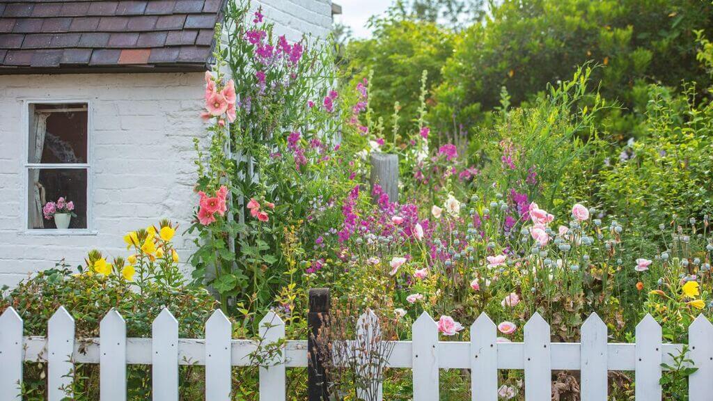 Bush Mixborder