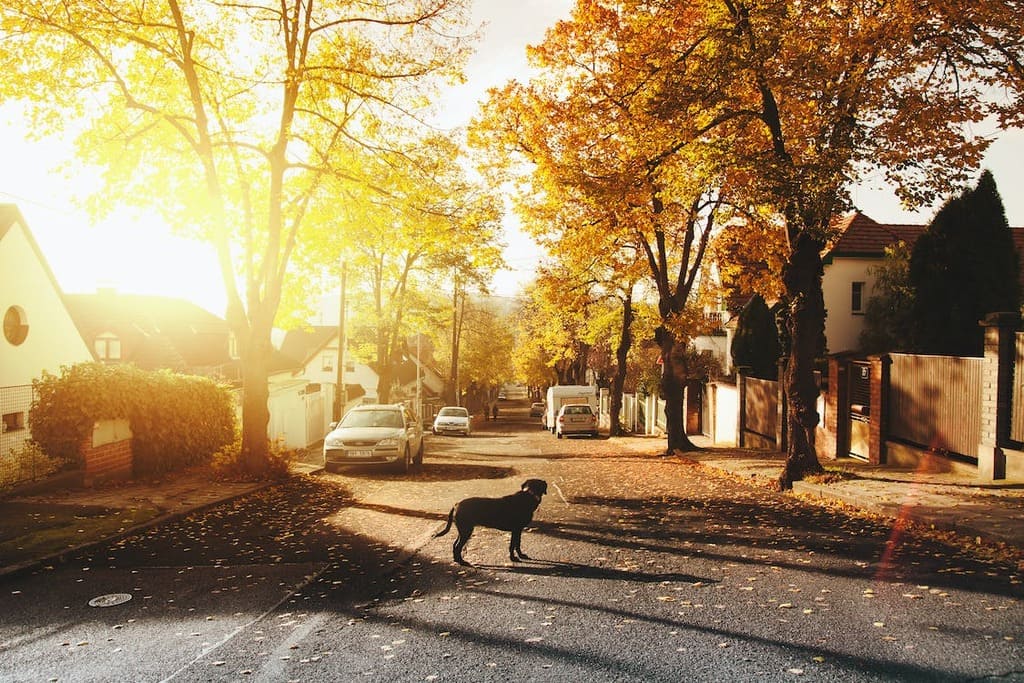Find Undervalued Properties