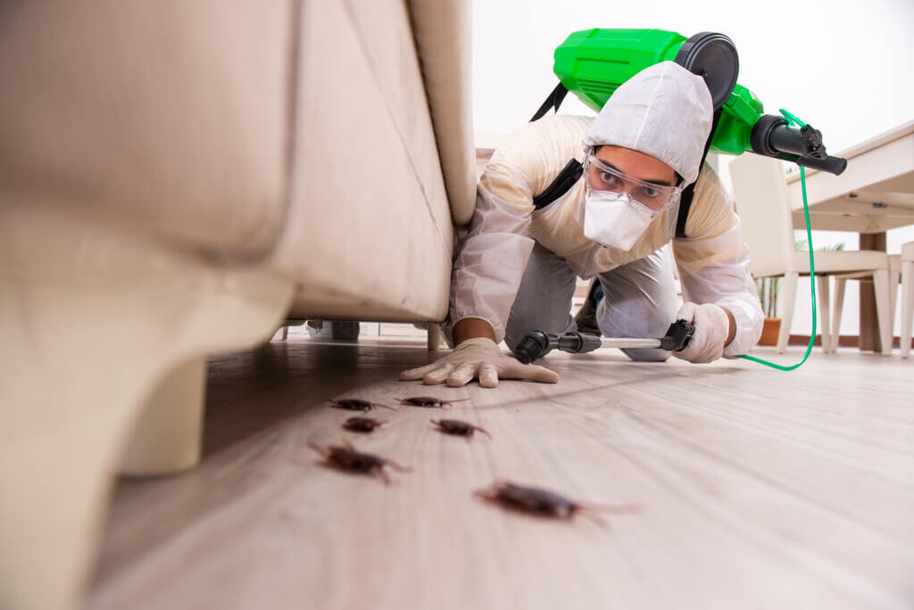 Water is breeding ground for pests.