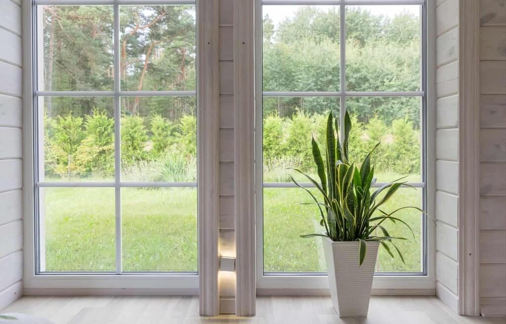Window Panes