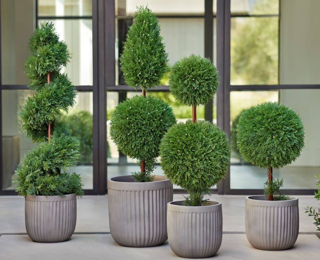 Artificial Topiaries in outdoor space
