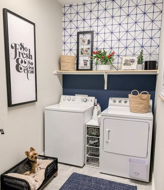 Place a Divider Storage laundry room