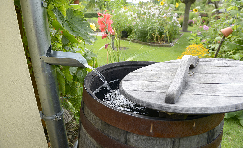 Rain Barrels