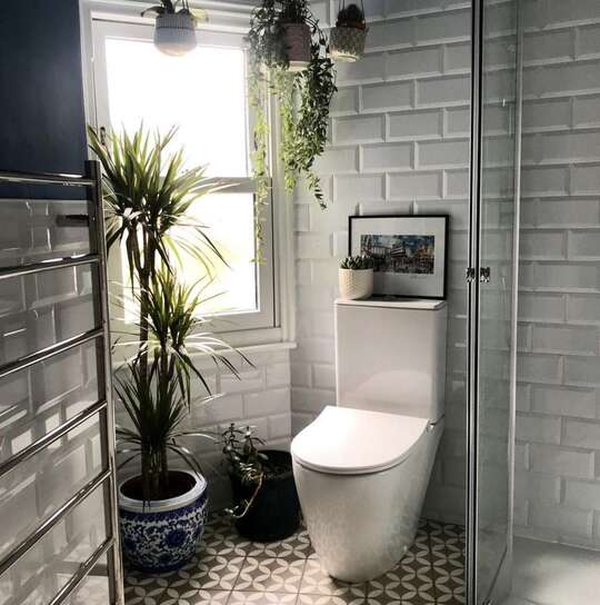 Use Plants in bathroom