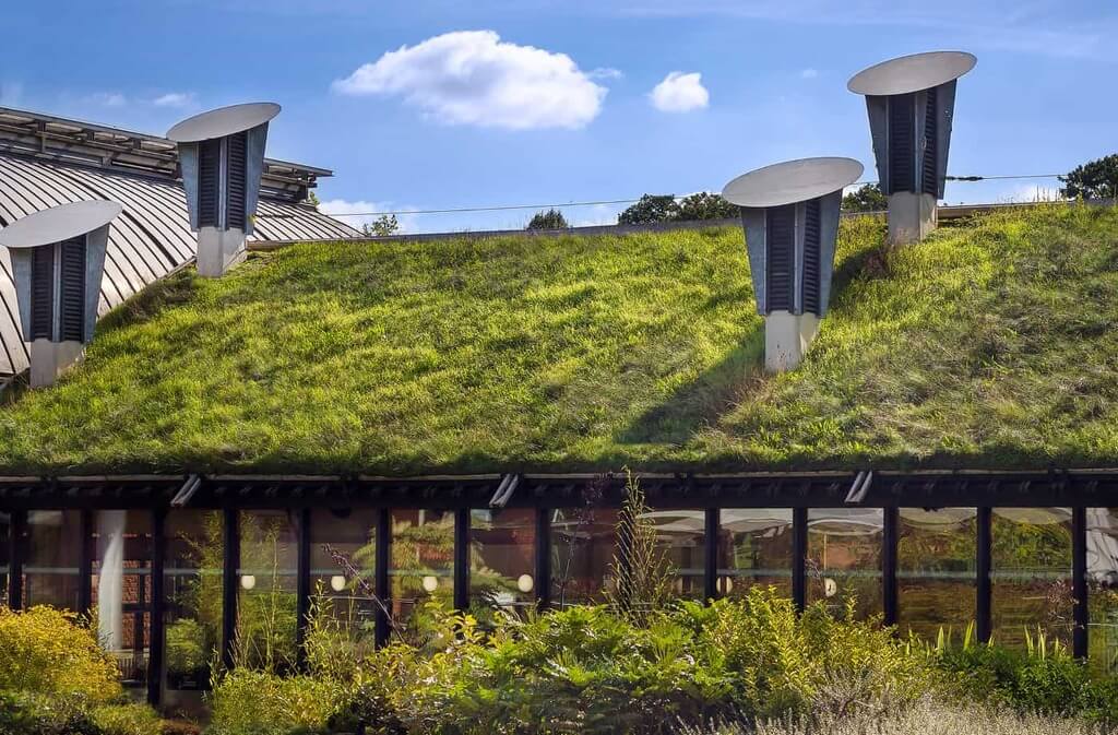 Green Roofs