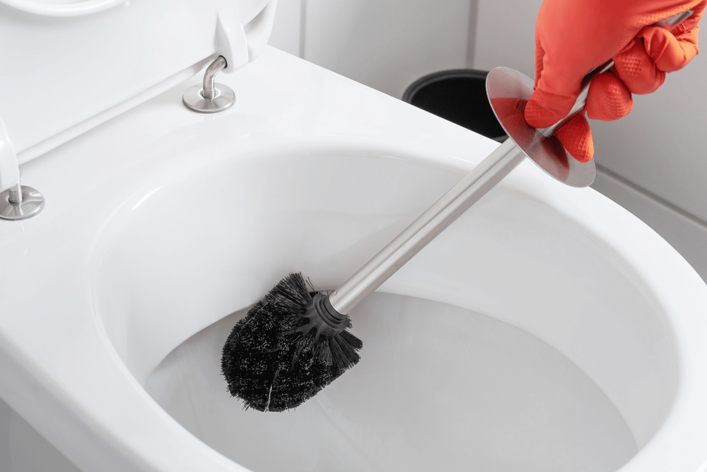 How to Unclog a Toilet with a Toilet Brush