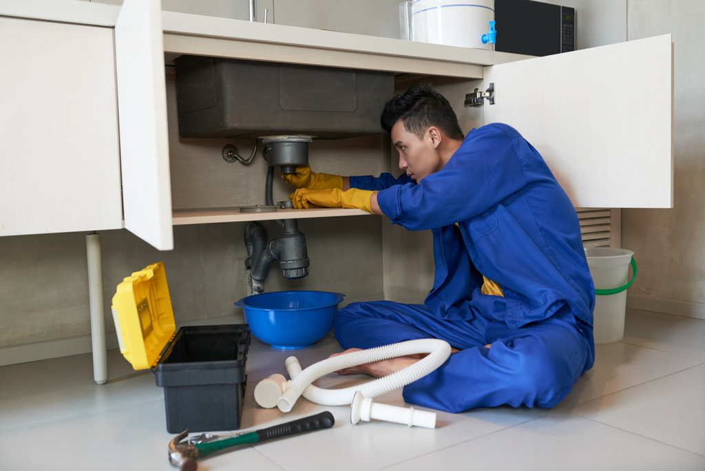 DIY Vs. Professional Cleaning