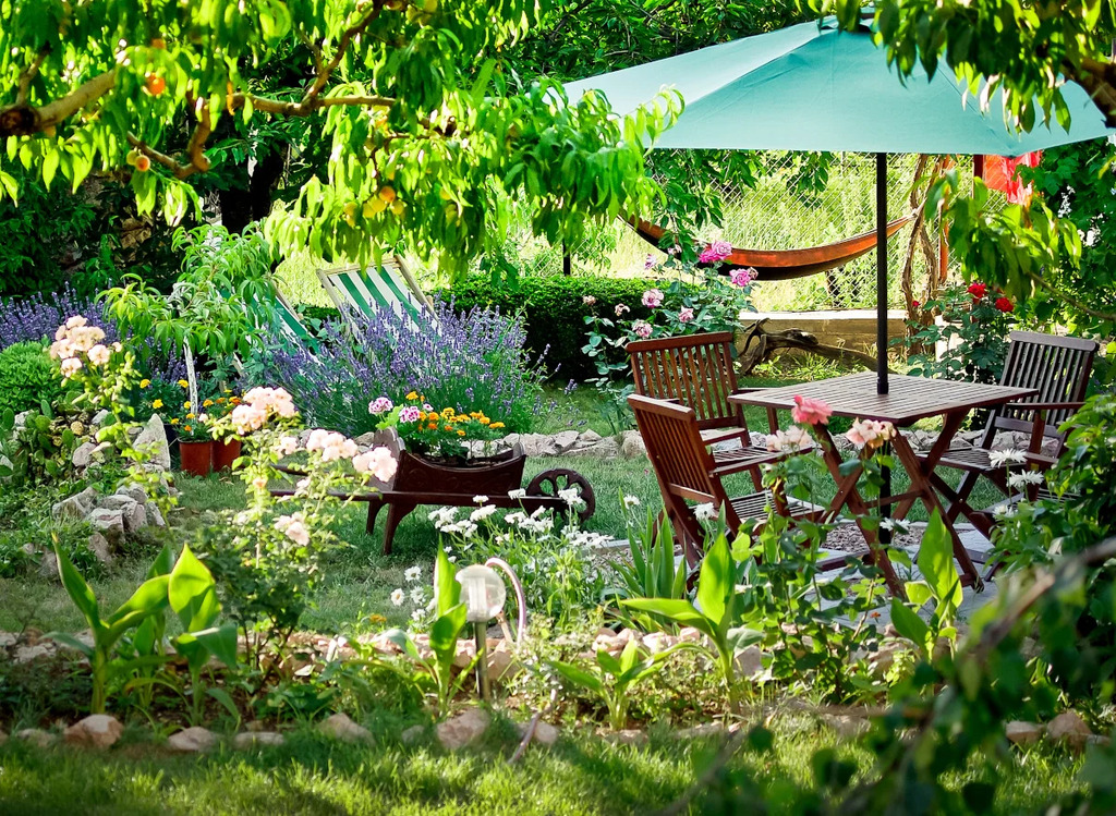 Rewild your garden