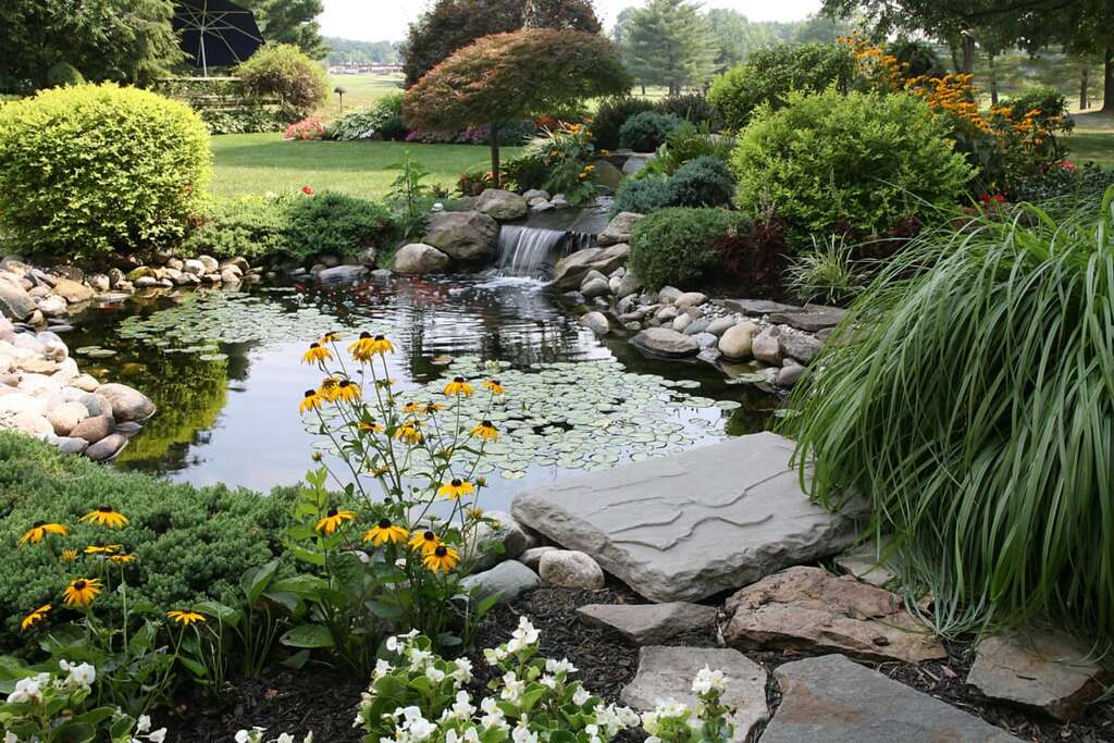 Wildlife habitat in landscape