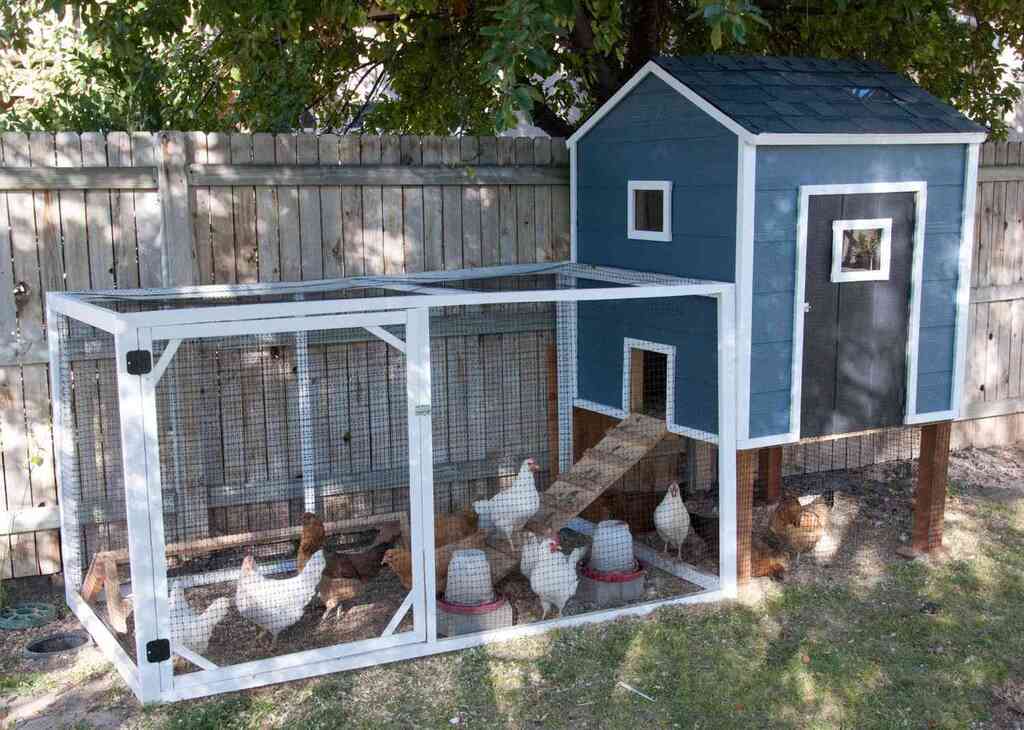 Design of chicken coop