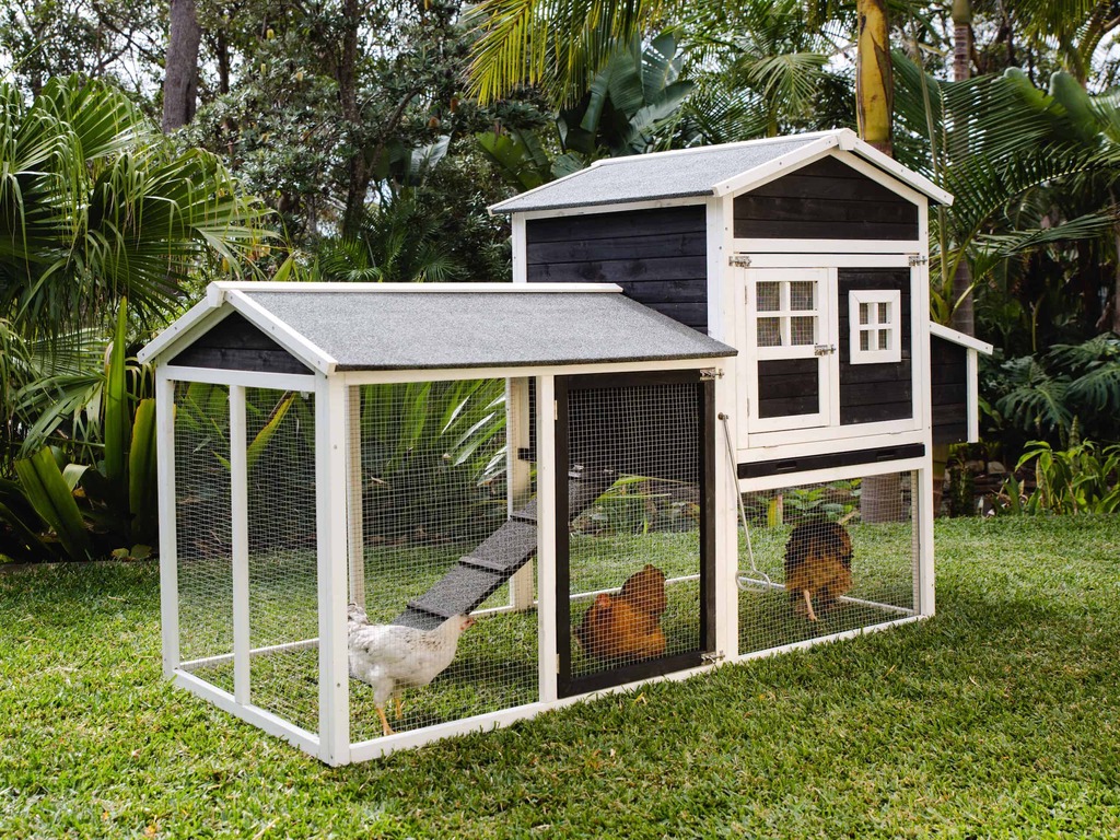 Eco Friendly Chicken coop
