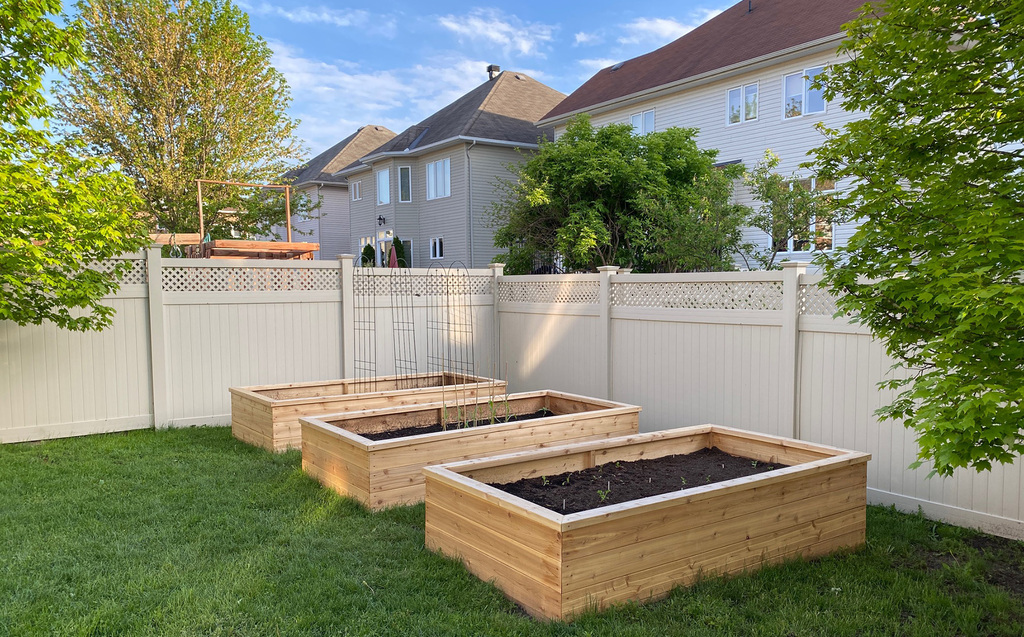 Raised Garden in backyard