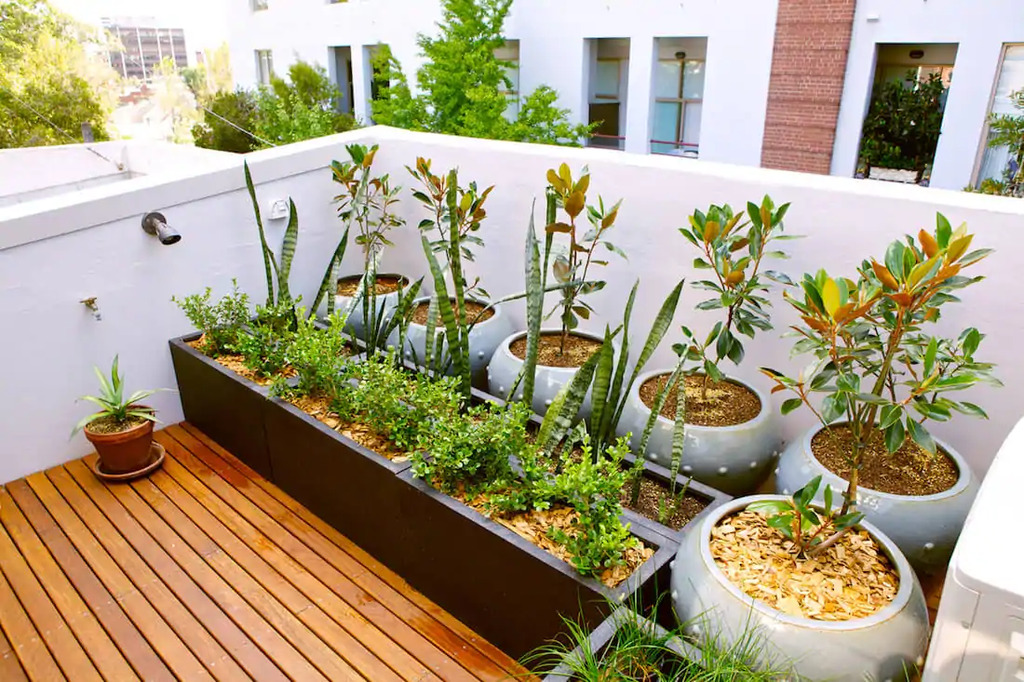 Outdoor pots in garden