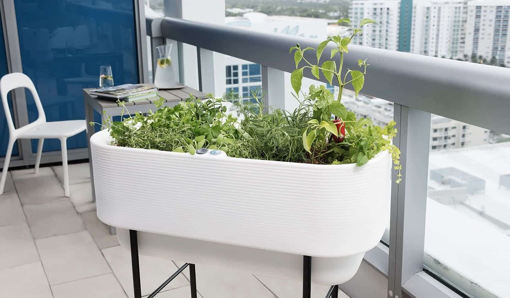 Rectangular Container in Condo