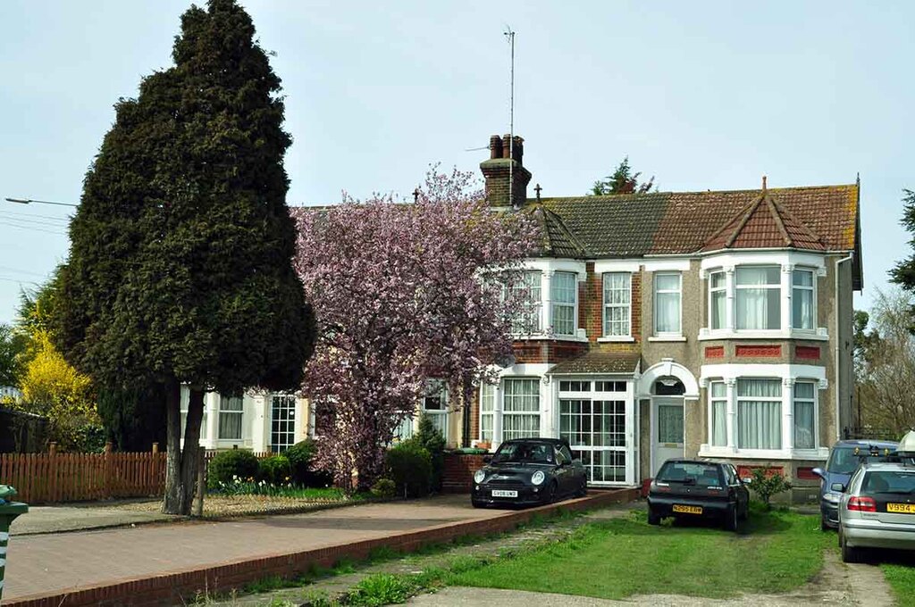 Origin of Edwardian Homes